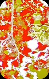Image: arts&nbsp;&&nbsp;ego for fotos