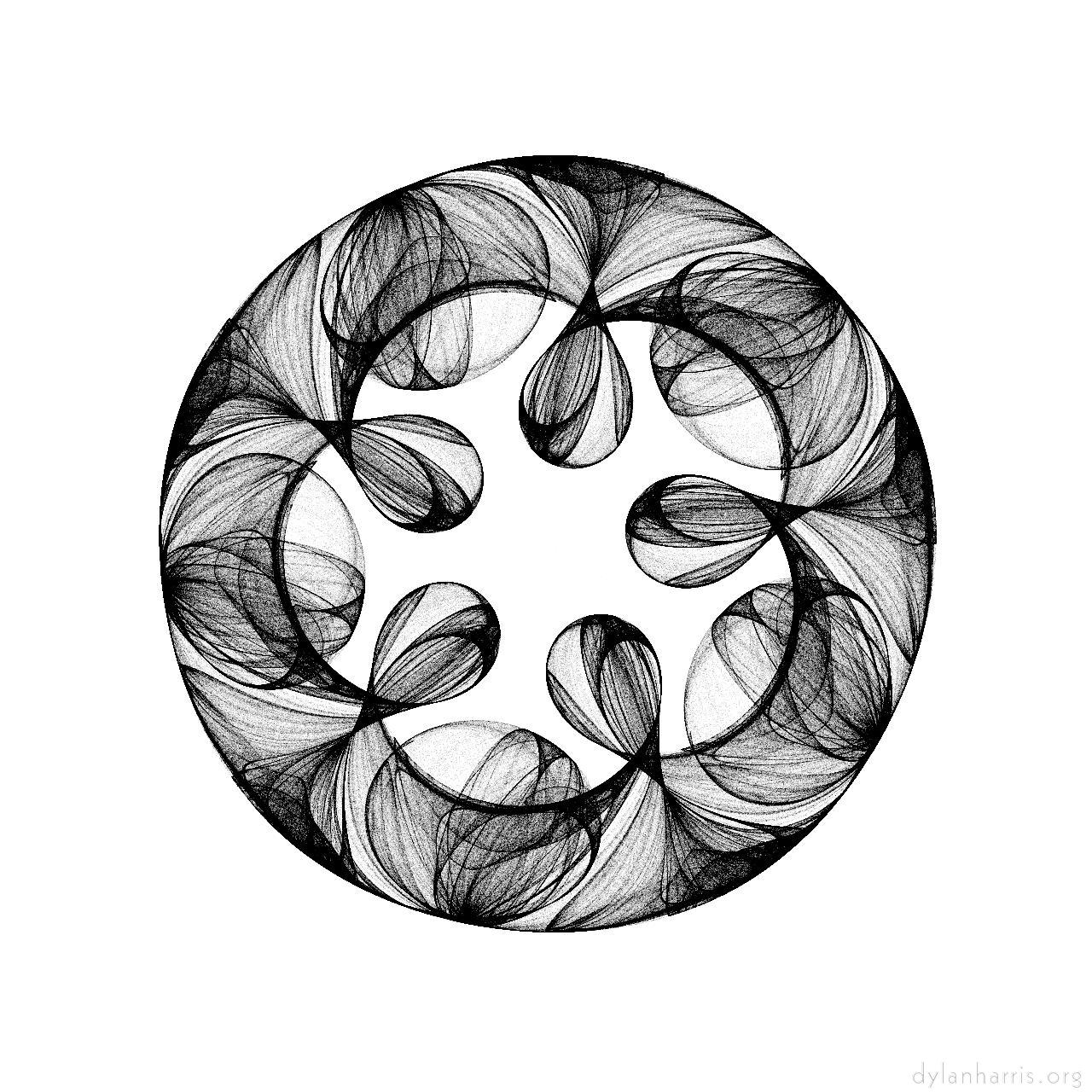 image: bw attractor :: plate