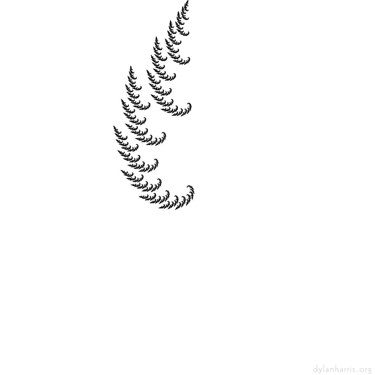 image: chaos :: pascal&lsquo;s&nbsp;flock&nbsp;of&nbsp;chaos