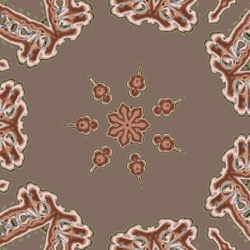 image: image from cirsym
