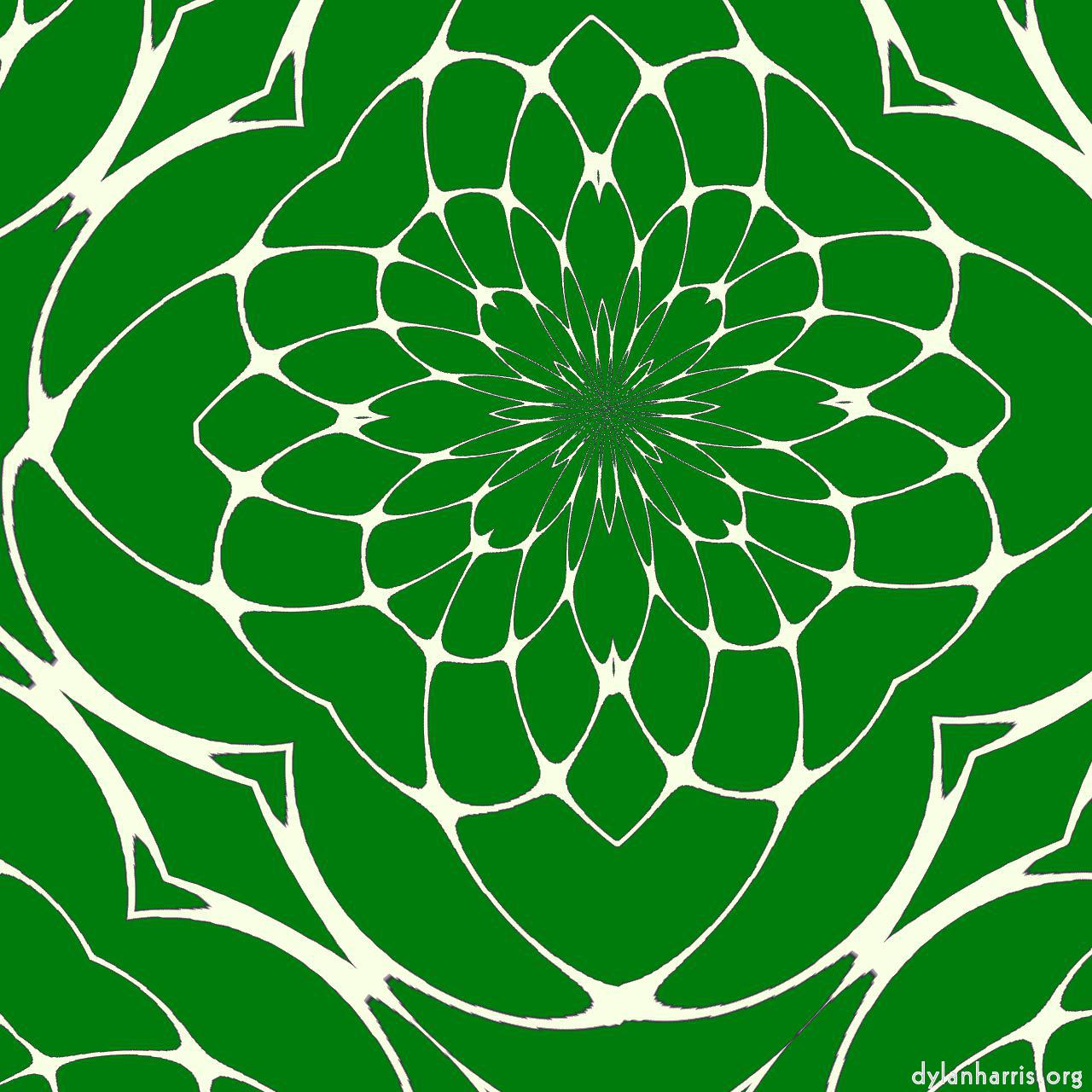 image: complex attractors :: leaf&nbsp;web