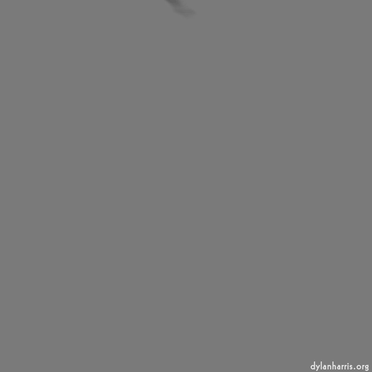 image: nagel series 1 :: abstract&nbsp;4