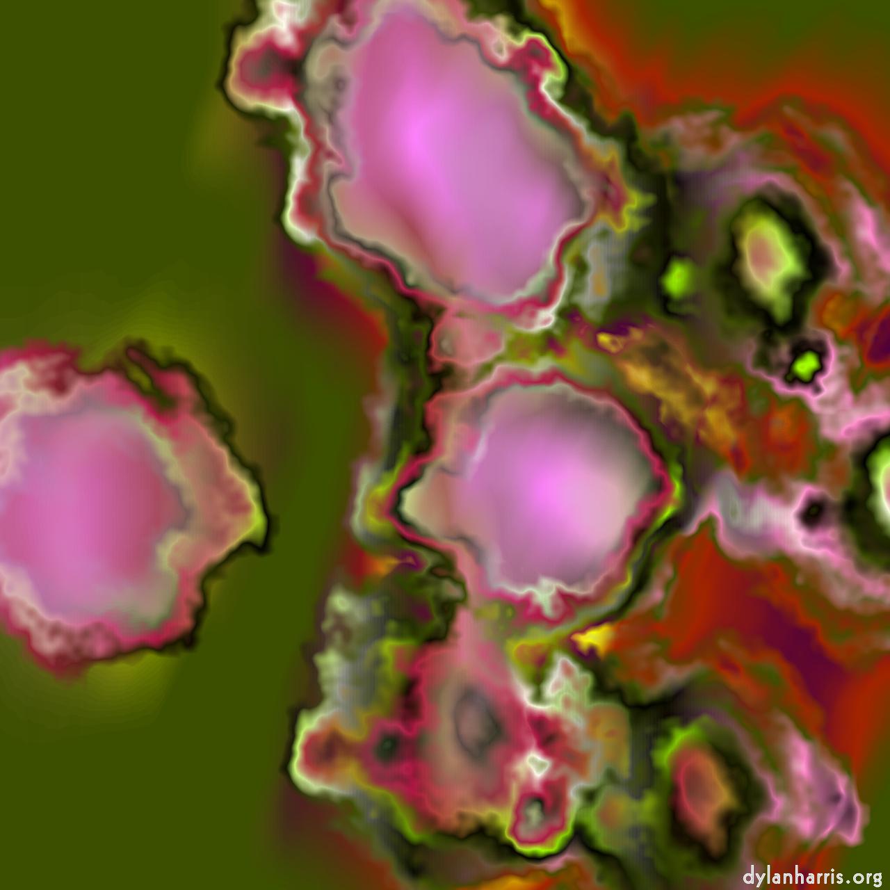 image: new e :: bloom&nbsp;1