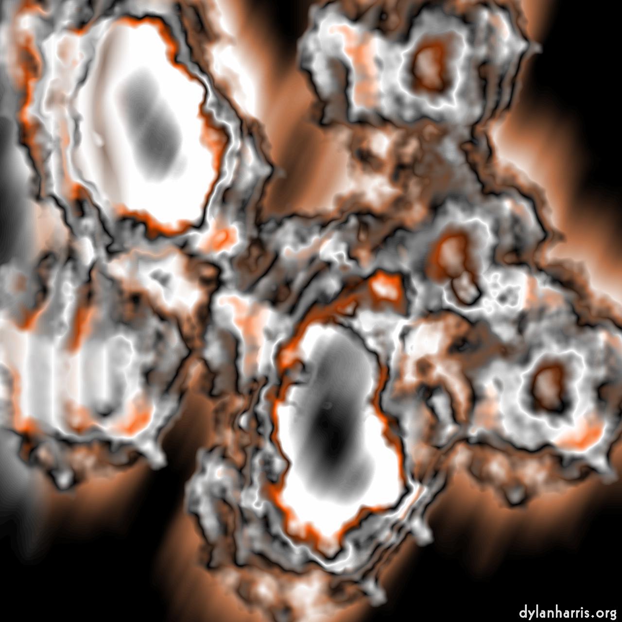 image: new e :: bloom&nbsp;3
