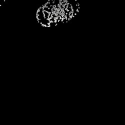 image: image from generative and abstract animation