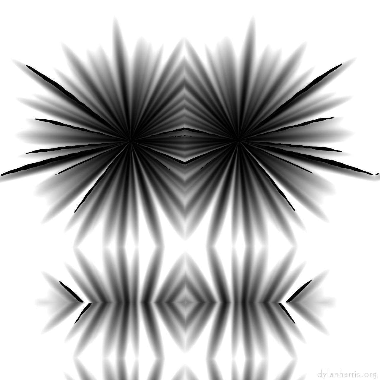 image: msg animation (choose animate with paseq) :: spider