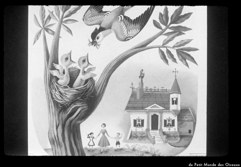 image: This is &lsquo;le petit monde des oiseaux 12&rsquo;.