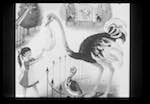 image: Image from the photoset &lsquo;le petit monde des oiseaux&rsquo;.