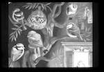 image: Image from the photoset &lsquo;le petit monde des oiseaux&rsquo;.