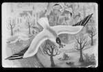 image: Image from the photoset &lsquo;le petit monde des oiseaux&rsquo;.