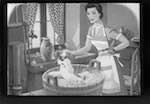image: Image from the photoset &lsquo;pitou le petit chien&rsquo;.