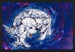 image: Image from the photoset &lsquo;le petit ours&rsquo;.