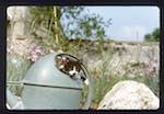 image: Image from the photoset &lsquo;chatounet et chatounette&rsquo;.