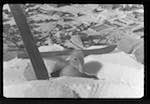 image: Image from the photoset &lsquo;saturnin aux sports d&rsquo;hiver&rsquo;.