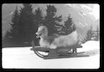 image: Image from the photoset &lsquo;saturnin aux sports d&rsquo;hiver&rsquo;.