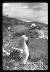 image: Image from the photoset &lsquo;saturnin, campeur&rsquo;.