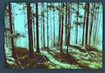 image: Image from the photoset &lsquo;marie pique&ndash;nique&rsquo;.