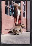 image: Image from the photoset &lsquo;renardeau et renardette&rsquo;.