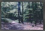 image: Image from the photoset &lsquo;le printemps&rsquo;.