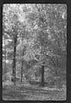 image: Image from the photoset &lsquo;l&rsquo;automne&rsquo;.