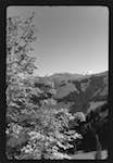 image: Image from the photoset &lsquo;l&rsquo;automne&rsquo;.