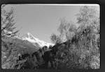 image: Image from the photoset &lsquo;l&rsquo;automne&rsquo;.