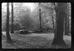 image: Image from the photoset &lsquo;l&rsquo;automne&rsquo;.