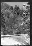 image: Image from the photoset &lsquo;l&rsquo;automne&rsquo;.