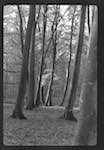 image: Image from the photoset &lsquo;l&rsquo;automne&rsquo;.