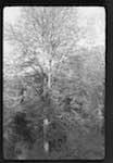 image: Image from the photoset &lsquo;l&rsquo;automne&rsquo;.