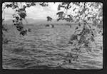 image: Image from the photoset &lsquo;l&rsquo;automne&rsquo;.