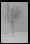 image: Image from the photoset &lsquo;l&rsquo;hiver&rsquo;.