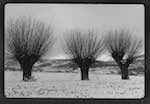image: Image from the photoset &lsquo;l&rsquo;hiver&rsquo;.
