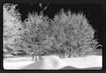image: Image from the photoset &lsquo;l&rsquo;hiver&rsquo;.