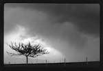 image: Image from the photoset &lsquo;l&rsquo;eau&rsquo;.