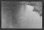 image: Image from the photoset &lsquo;l&rsquo;eau&rsquo;.