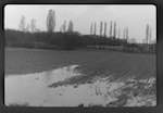 image: Image from the photoset &lsquo;l&rsquo;eau&rsquo;.