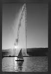image: Image from the photoset &lsquo;l&rsquo;eau&rsquo;.