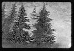 image: Image from the photoset &lsquo;noel du petit sapin&rsquo;.