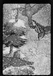 image: Image from the photoset &lsquo;noel du petit sapin&rsquo;.