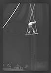 image: Image from the photoset &lsquo;LE CIRQUE (le spectacle)&rsquo;.