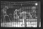image: Image from the photoset &lsquo;LE CIRQUE (le spectacle)&rsquo;.