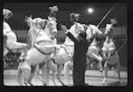 image: Image from the photoset &lsquo;LE CIRQUE (le spectacle)&rsquo;.