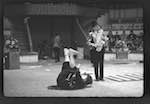 image: Image from the photoset &lsquo;LE CIRQUE (le spectacle)&rsquo;.