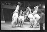 image: Image from the photoset &lsquo;LE CIRQUE (le spectacle)&rsquo;.