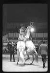 image: Image from the photoset &lsquo;LE CIRQUE (le spectacle)&rsquo;.