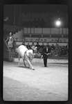 image: Image from the photoset &lsquo;LE CIRQUE (le spectacle)&rsquo;.