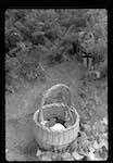 image: Image from the photoset &lsquo;MINETTE ET LES PETITS PALINS&rsquo;.