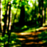 image: photographic&nbsp;workflow