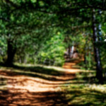 image: unfocused&nbsp;photos
